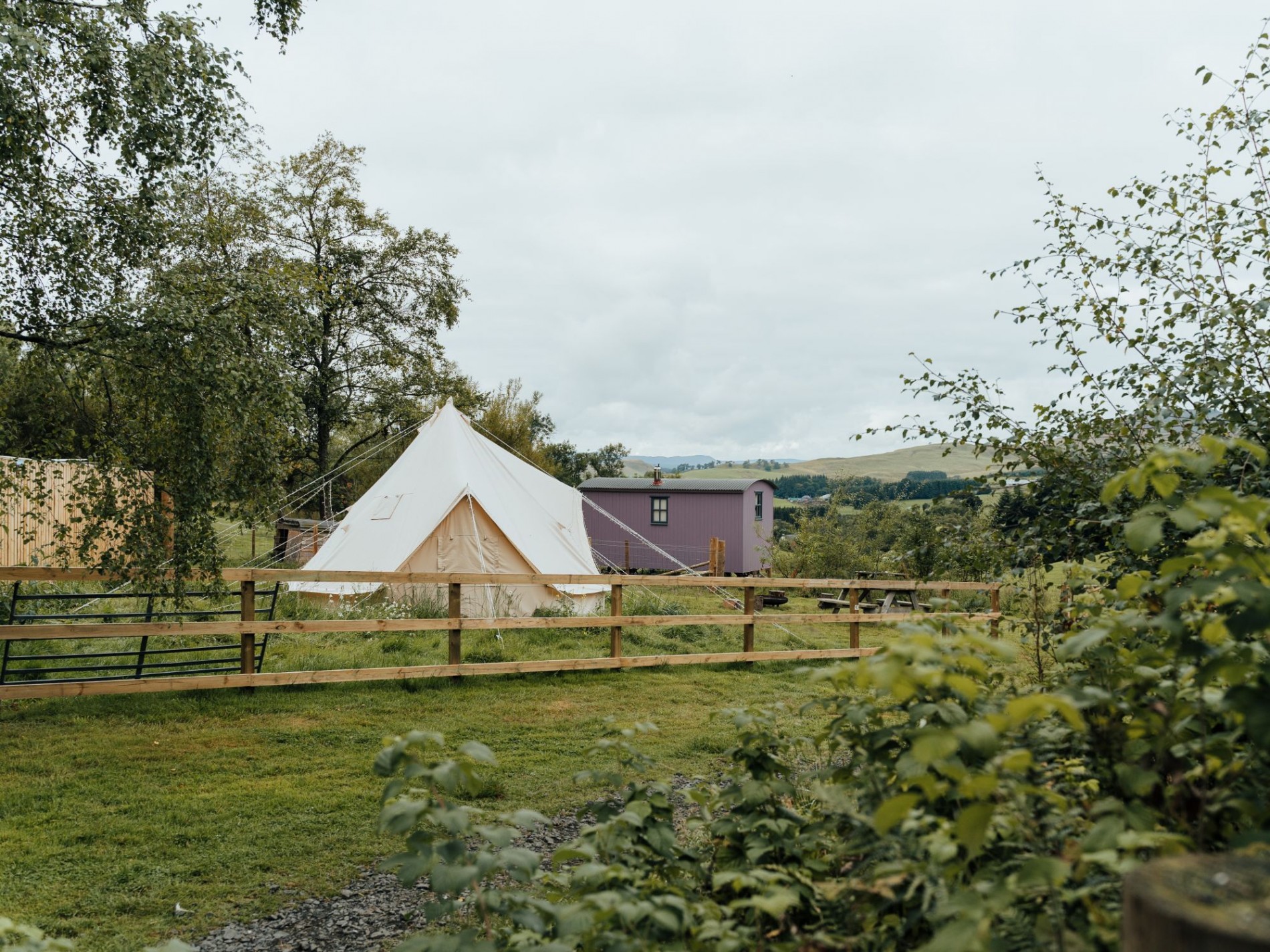 The Canvas Bell Tent and Lilac Tummelberry Hut in amongst the rich green trees and grass of the glamping paddock looking over the surround hills. A rustic wooden fence sections off The Bell Tent's own area.