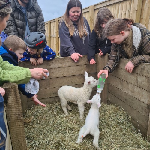 And we don't just mean all the Chocolate Eggs we have consumed. We couldn't help but share another ridiculously cute picture of our New Baby Lambs who very much stole the Easter show from the Easter Bunny this year!