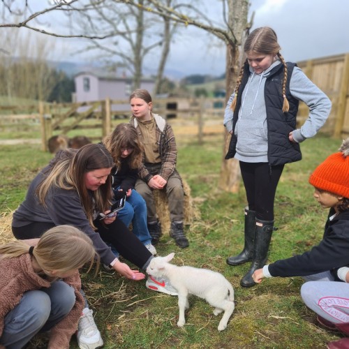 29th March - 1st April 2024 | £22 Per Child

Stay with us this Easter and you can book your kids in to join our fun filled Easter activity weekend at Glenshee Glamping - back for another year!
Meet, handle, and feed our new super cute baby lambs, and catch up with Suzy and Nola from last year.  They are much bigger now but just as friendly!

The price also Includes an Easter Egg and craft bag full of quality activities for the kids to do whilst on site.  Worth over £15.00!