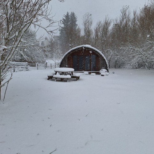 Mulberry Cabin